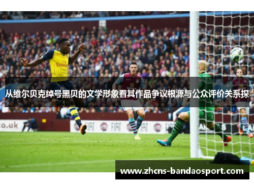 从维尔贝克绰号黑贝的文学形象看其作品争议根源与公众评价关系探