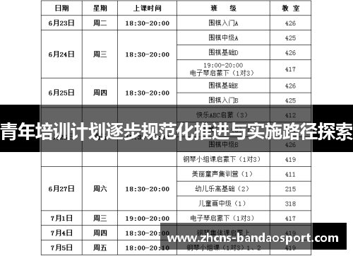 青年培训计划逐步规范化推进与实施路径探索