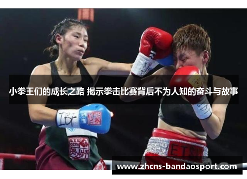 小拳王们的成长之路 揭示拳击比赛背后不为人知的奋斗与故事