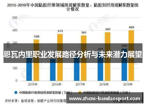 恩瓦内里职业发展路径分析与未来潜力展望